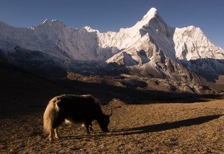 Everest Mani Rimdu Fest Trekking, 12 Tage 