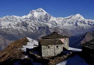 Khopra Danda (Ridge) Trek for families (South of Annapurnas), 11 Days