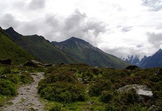 Yala Peak Climbing - 14 Days | Royalty-Free Peak