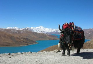 Tibet Lhasa Tour with Namtso Lake, 7 Days (Private Trip)
