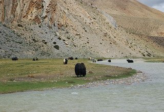 Tibet Lhasa EBC Kailash Kathmandu Overland Tour, 14 Days (Private or Group Trip)