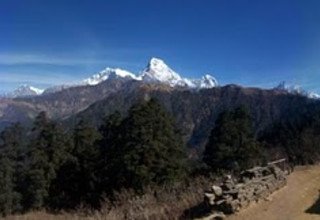 Mohare Danda Trek for Families (Community Eco Trail), 10 Days