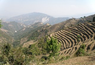 Helambu Heritage Circuit Lodge Trek, 9 Days