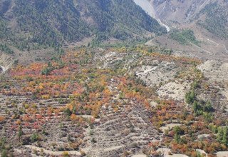 Humla Limi Valley Trek, 20 Days