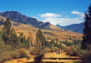 Cultural Tour in Bhutan in the Land of the Dragon, 13 Days