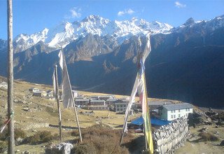 Langtang Ganja-La Pass Trekking, 14 Days