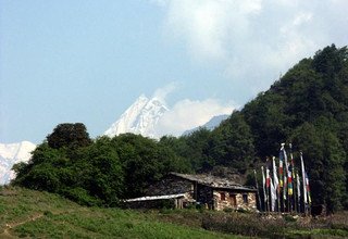 Long Tamang Heritage Trail, Langtang Valley, Gosaikund Lake and Helambu Trek, 20 Days