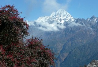 Long Tamang Heritage Trail, Langtang Valley, Gosaikund Lake and Helambu Trek, 20 Days