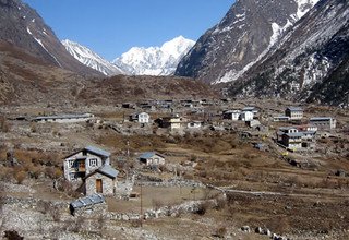 Long Tamang Heritage Trail, Langtang Valley, Gosaikund Lake and Helambu Trek, 20 Days