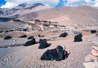 Inner Dolpo Trek, 25 Days