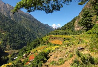 Tsum Valley Trek, 16 Days 