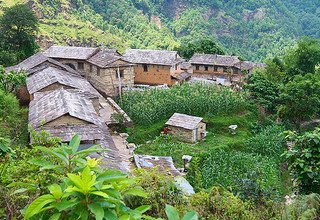 Panchase Trek, 8 Days