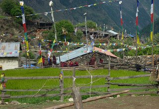 Around Manaslu Trek, 12 Days | Group Joining Trip 2026