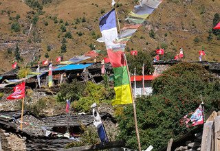 Around Manaslu Trek, 12 Days | Group Joining Trip 2026