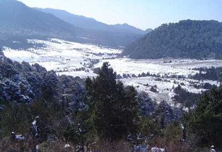 Perfect Bhutan Tour - 6 Nights/ 7 Days