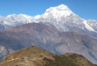 Khopra Danda (Ridge) Trek for families (South of Annapurnas), 11 Days