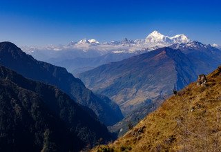 Lumba Sumba Pass Trekking (Kanchenjunga-Makalu), 21 Tage