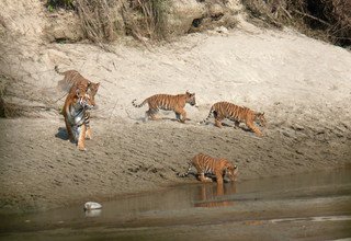 Bardia National Park Tour Package - 4 Nights 5 Days