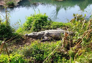 Chitwan Tour Package - 2 Nights/ 3 Days
