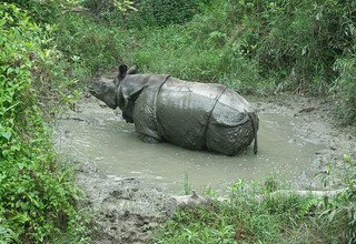 White Water Rafting and Chitwan National Park Tour - 3 Nights/ 4 Days